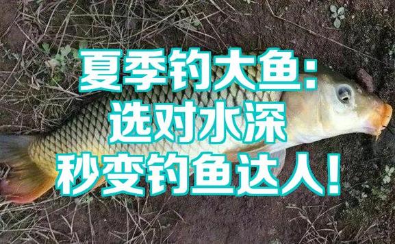 夏季釣魚注意事項_夏季釣魚技巧_春天釣魚技巧