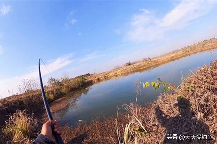 冬季魚口怎么樣_冬季釣魚搞笑圖片大全_冬天釣魚冷嗎