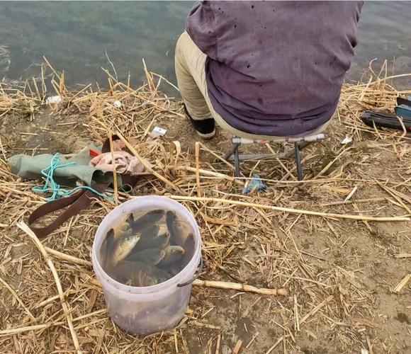 魯家灘水庫魚類分布_魯家灘釣魚_魯家灘水庫釣魚攻略