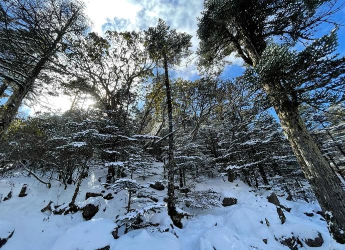 冬季螺髻山云海景觀_螺髻山賞雪旅游_螺髻山天氣預報