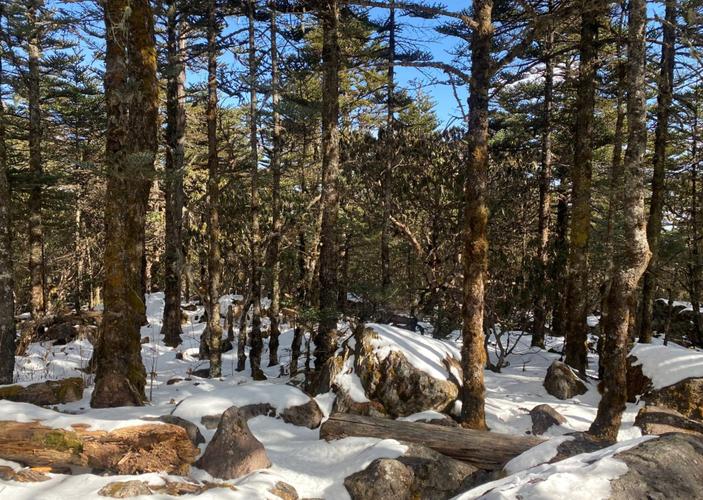 冬季螺髻山云海景觀_螺髻山賞雪旅游_螺髻山天氣預報