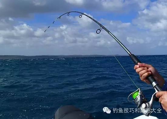 春季用海竿釣魚技巧_仲春釣魚技巧_春季刮風天釣魚