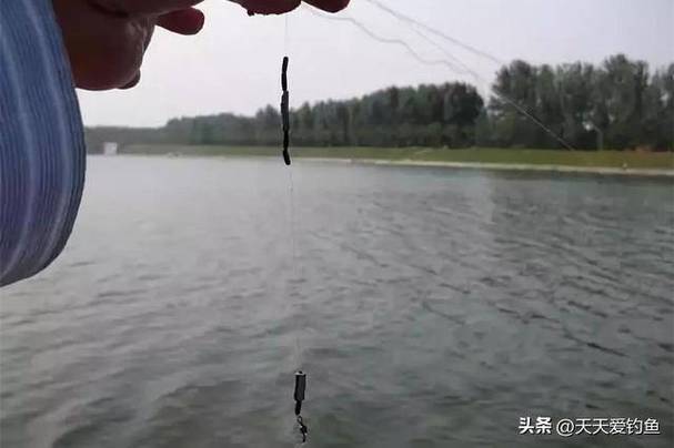 仲春釣魚技巧_春季用海竿釣魚技巧_春季刮風天釣魚