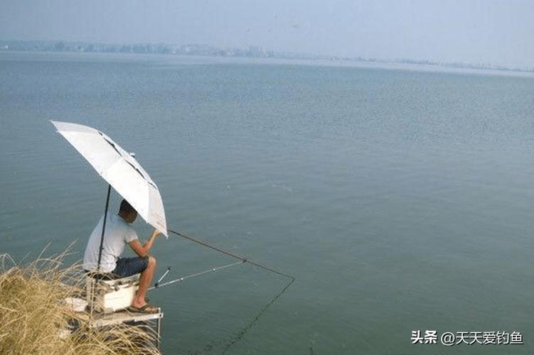 仲春釣魚技巧_春季刮風天釣魚_春季用海竿釣魚技巧