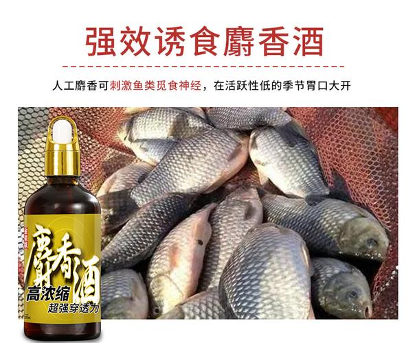 黑坑野釣藥酒制作_民間釣魚餌料配方大全_中藥魚餌配方