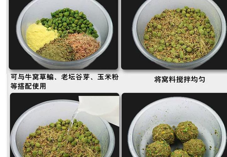 黑坑釣草魚用什么餌最好 五月份_黑坑釣草魚技巧_下風口釣位選擇