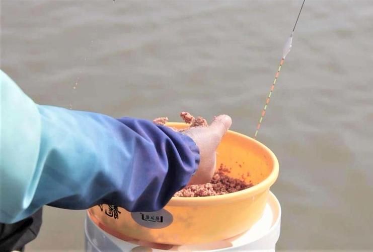 野釣全攻略李大毛_打窩釣鯉魚_釣鯉魚技巧