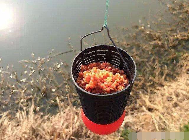 野釣全攻略李大毛_釣鯉魚技巧_打窩釣鯉魚