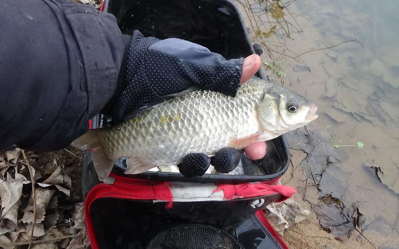 釣魚天氣預報_釣魚與天氣_釣魚天氣APP