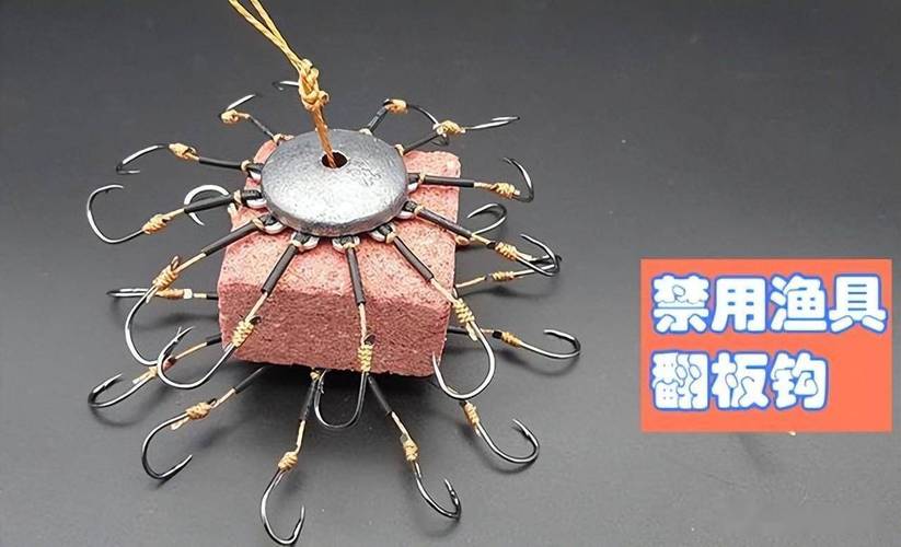 釣魚發燒友2024最新版攻略_釣魚發燒友能改名字嗎_釣魚發燒友釣具強化技巧