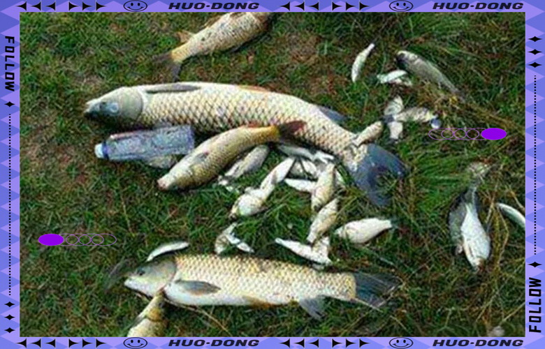 釣魚天氣氣壓高低_釣魚天氣溫差影響_氣壓高低對釣魚的影響