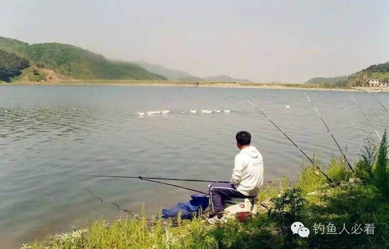 判斷氣壓高低方法_氣壓高低對釣魚的影響_氣壓影響釣魚原理