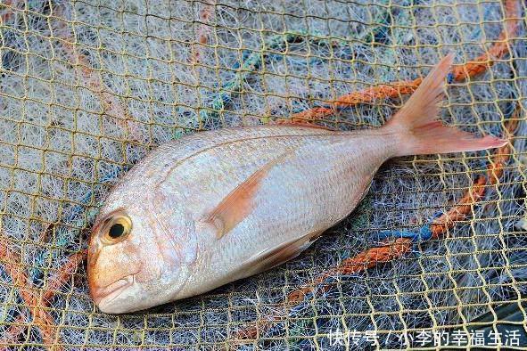 氣壓高低對釣魚的影響_氣壓影響釣魚原理_判斷氣壓高低方法