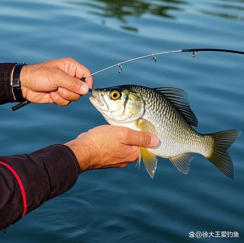 判斷氣壓高低方法_氣壓高低對釣魚的影響_氣壓影響釣魚原理