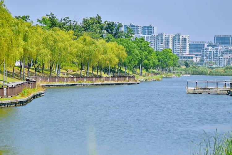 大京水庫_大京水庫 綠色景觀 網友攝影
