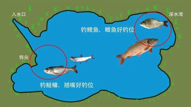【引用】釣魚技巧 網絡下載大全_餌料使用方法_釣魚選位技巧