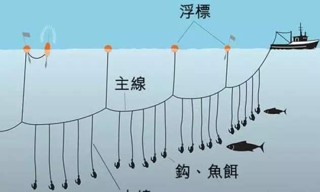 垂釣技巧解析_【引用】釣魚技巧 網絡下載大全_水情觀察釣魚方法