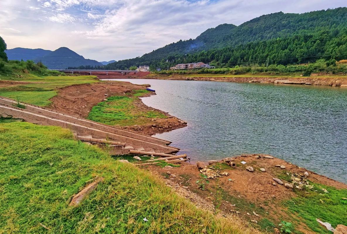 升鐘湖釣魚2026_升鐘湖草魚釣法_升鐘湖海竿釣鯉魚技巧