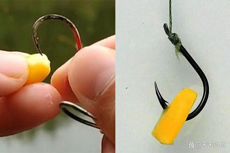玉米紅薯釣草魚_秋天野釣草魚用什么餌料最好_草魚餌料選擇