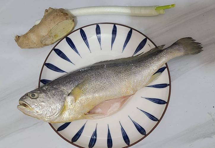 黃魚營養價值_大黃魚與 小黃魚 區別_黃魚是什么魚