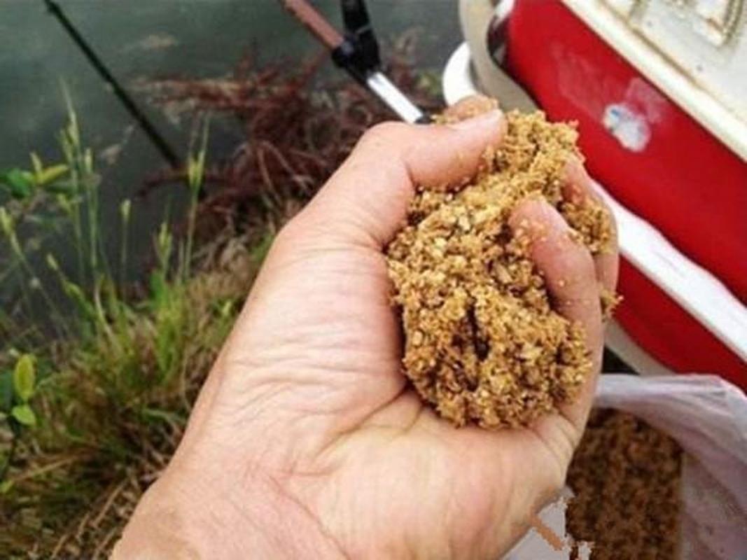 養魚塘釣草魚用什么餌料_早秋釣草魚技巧_秋季釣草魚