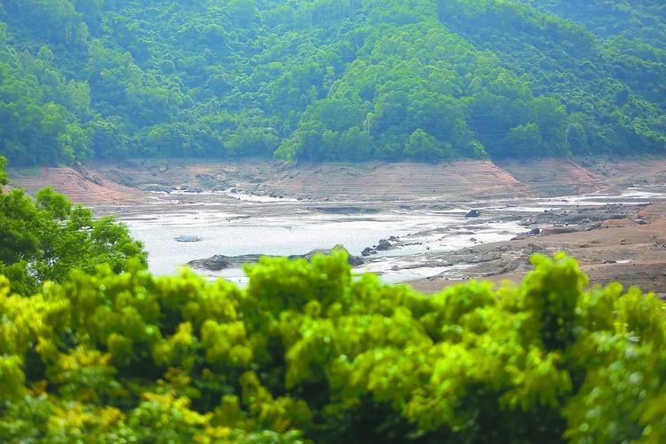 梅林水庫改造工程進度_梅林水庫干涸原因_梅林水庫