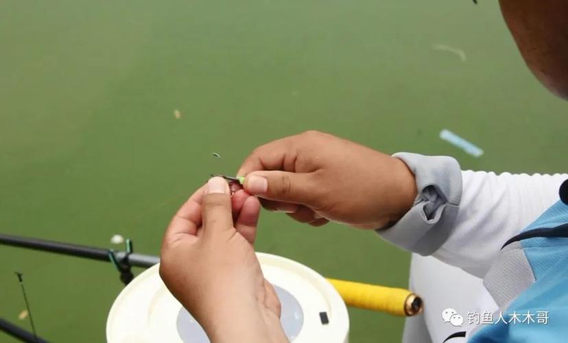 野河里怎么釣大鯽魚_秋冬季節野河釣大鯽魚方法_野河釣大板鯽技巧