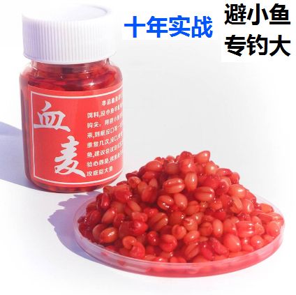 草魚冬季釣法紅蟲_釣草魚用餌技巧_釣草魚用什么餌料效果好呢