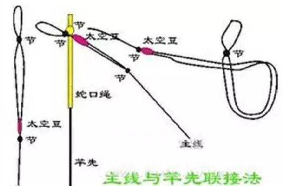 活扣綁魚線步驟_手竿魚線連接方法_魚竿頭怎么綁線圖解