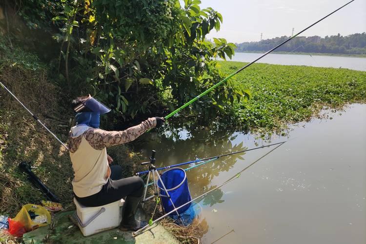 從零開始學釣魚_新手低成本裝備避坑技巧_釣魚調漂技巧圖解視頻