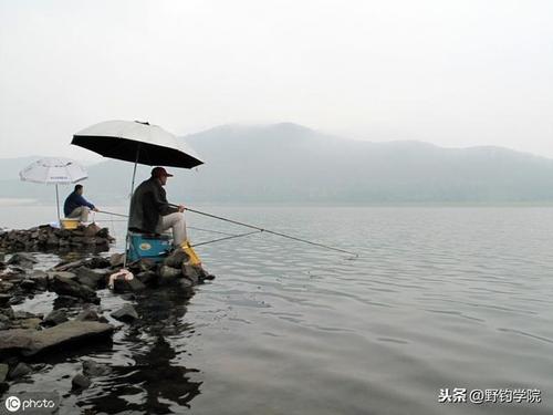 重慶周邊野釣地點_重慶周邊釣野魚的地方_重慶周邊釣魚野釣地點大全