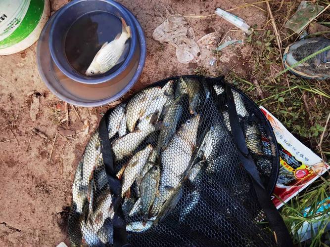 長壽湖釣魚技巧_長壽湖釣魚最佳釣點_長壽釣魚技巧