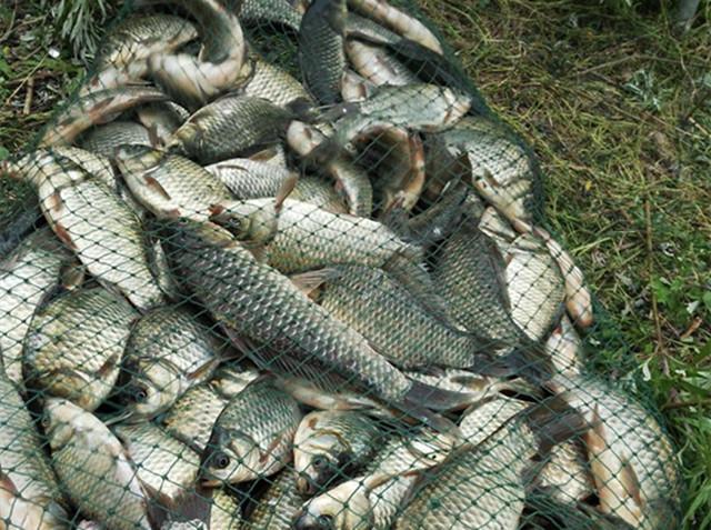 初春渾水釣魚攻略_初春渾水釣魚技巧_東北春季釣魚技巧