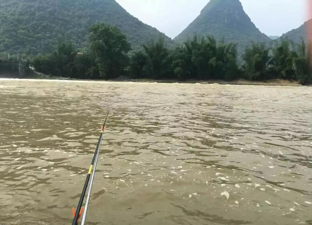 東北春季釣魚技巧_初春渾水釣魚攻略_初春渾水釣魚技巧