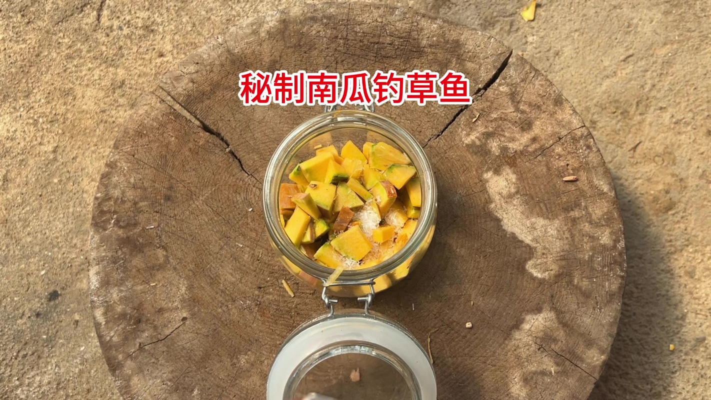 草魚餌料自制秘方_釣草魚甜糟制作方法_釣草魚窩料配方