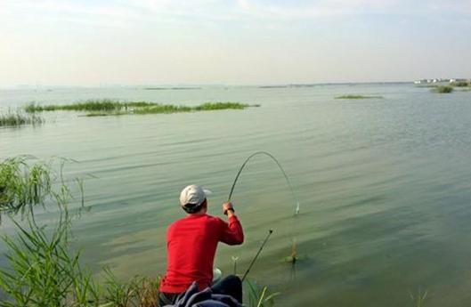 四月份釣魚最佳天氣指標_夏季陰天好釣魚嗎_四月份陰天釣魚技巧