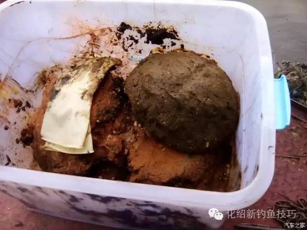 春季釣大魚_重口味餌料_自制釣魚餌料配方