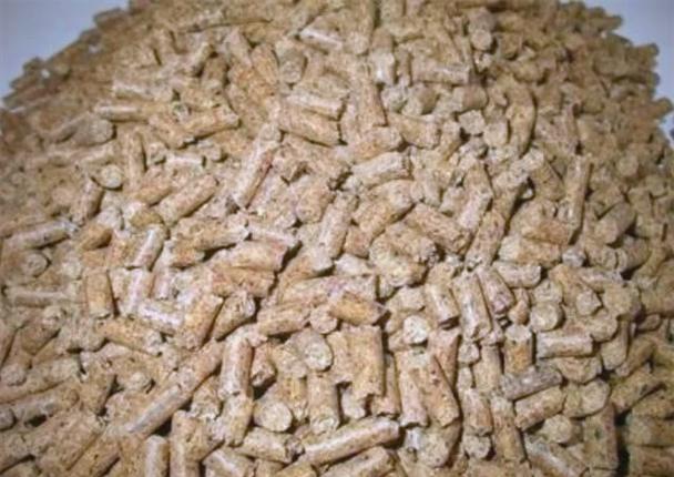 2026黑坑釣鯉魚用什么餌料_餌料配方_釣位選擇