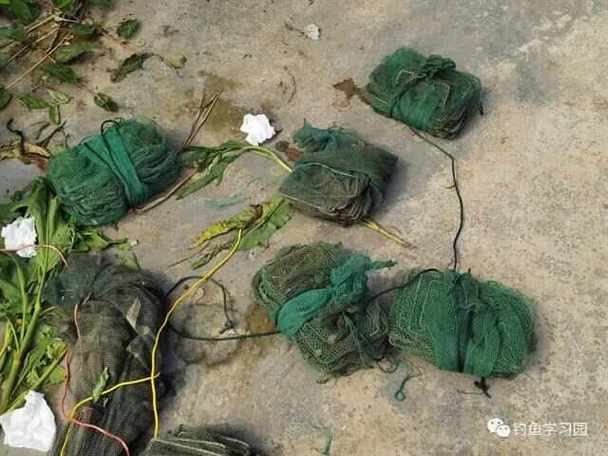 電魚事故_電魚危害_干部制止非法電魚被刺身亡