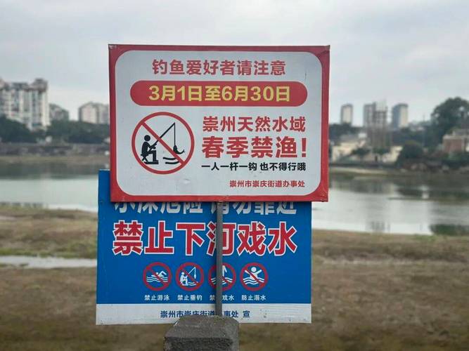 上海市長江水域常年禁漁_黃浦江內陸水域禁漁規定_2026年上海禁止釣魚規定