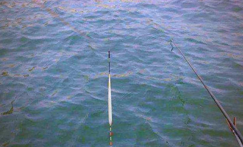 路亞釣魚技巧大全_釣路亞教程_釣魚路亞基本技術