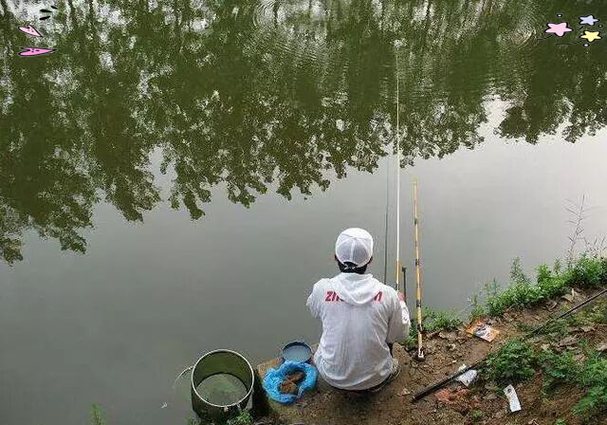 湖塘釣魚的地方_專門釣魚的魚塘魚能吃嗎_東西湖釣魚便宜的斤塘