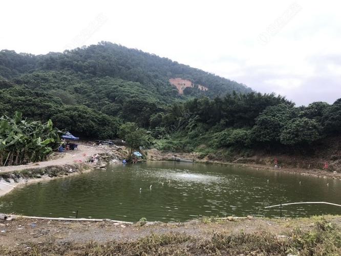 湖塘釣魚的地方_專門釣魚的魚塘魚能吃嗎_東西湖釣魚便宜的斤塘