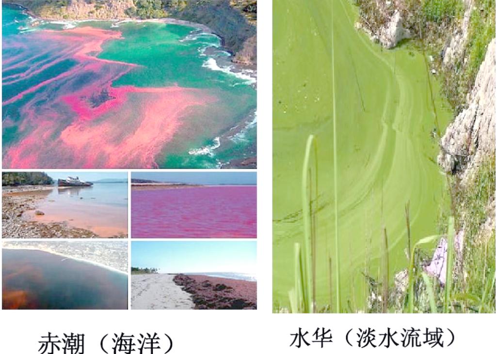 水業論壇_水域論壇_水域百科