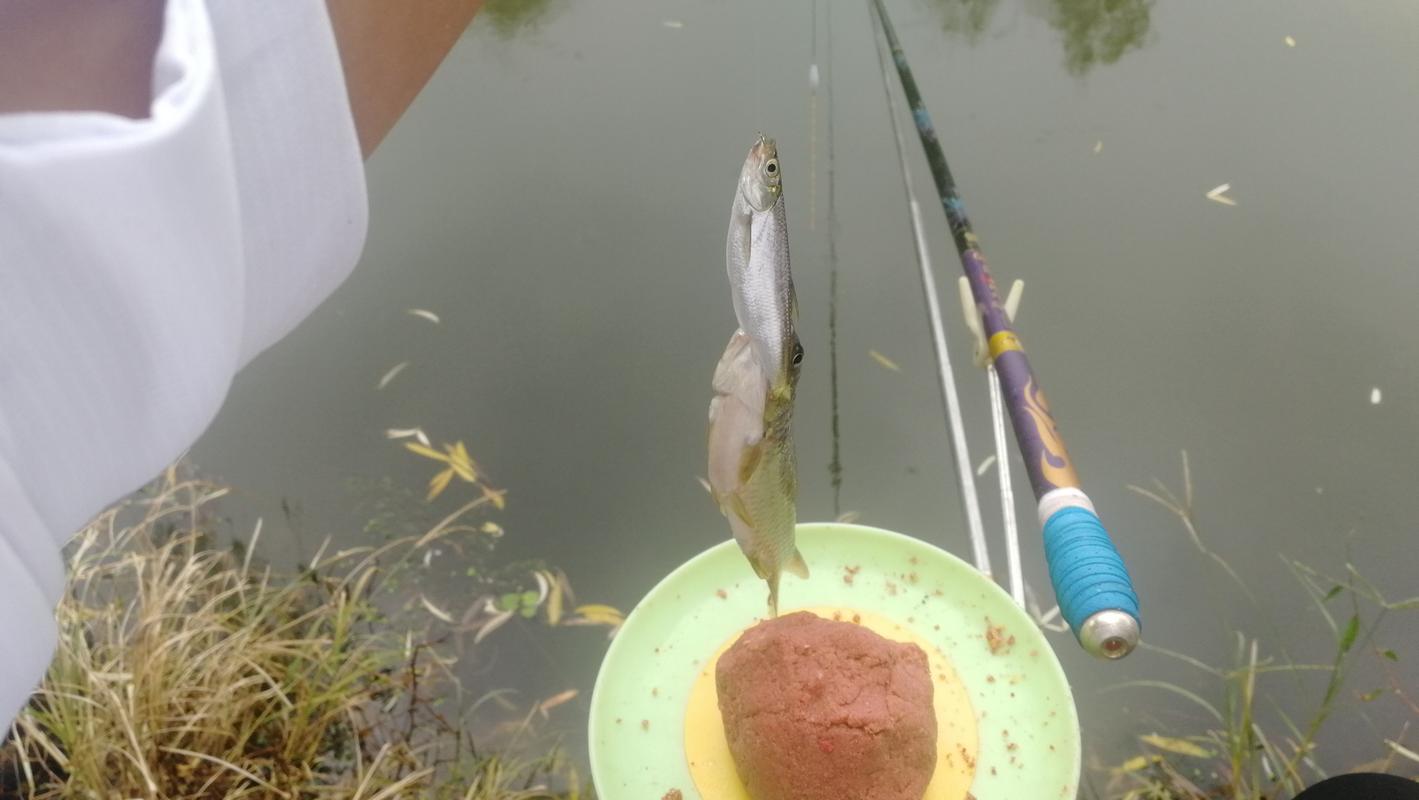長竿釣深技巧_夏季釣魚釣位選擇陰涼處_夏季下午釣魚怎么樣?