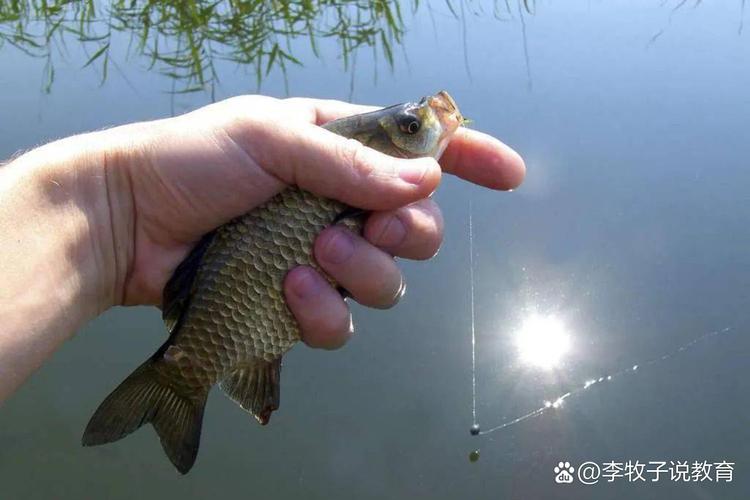 春季釣魚氣溫變化_陰雨天氣釣魚技巧_春季釣魚淺灘深水選擇