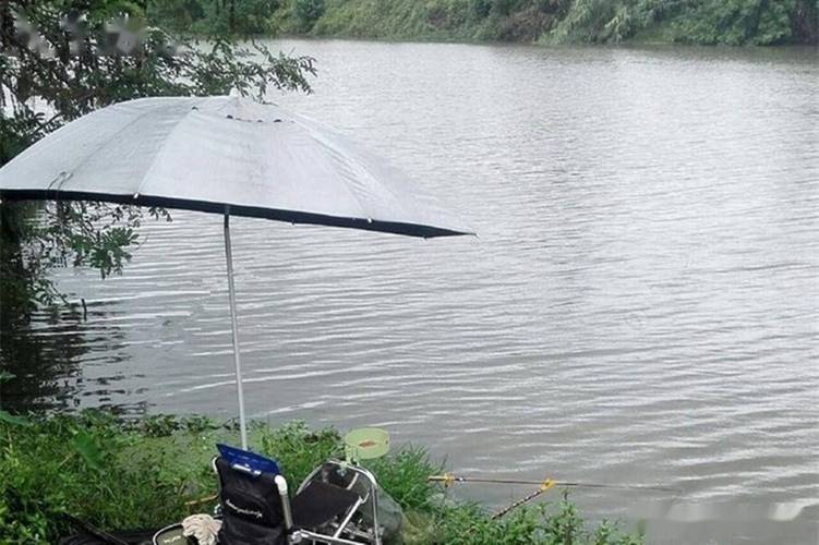 陰雨天氣釣魚技巧_春季釣魚氣溫變化_春季釣魚淺灘深水選擇