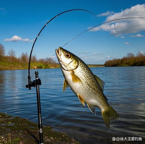 春季釣魚氣溫變化_陰雨天氣釣魚技巧_春季釣魚淺灘深水選擇