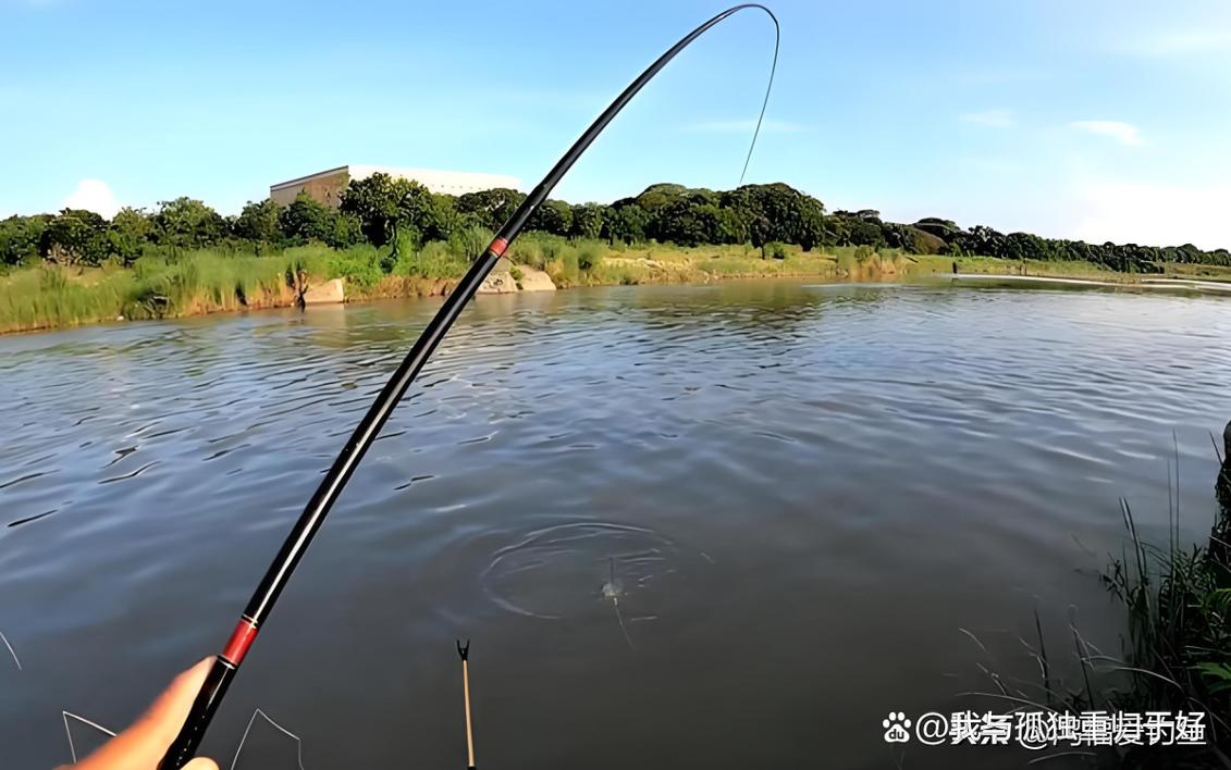 渾水釣魚深淺_渾水釣魚釣深還是淺_野釣渾水釣魚釣浮還是釣底