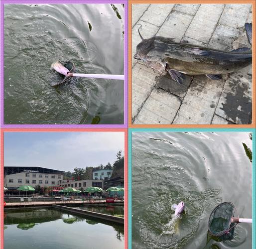 鄭州周邊釣魚野釣地點_鄭州釣魚點推薦_免費野釣好去處